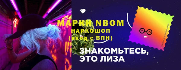 шишки Алзамай