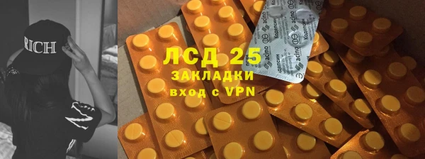 шишки Алзамай