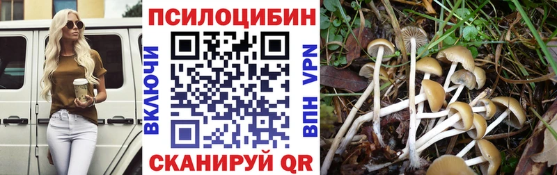 Галлюциногенные грибы Psilocybine cubensis  дарк нет состав  Кимры 